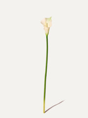 Kalla 74 cm 1 piece - artificial flower 