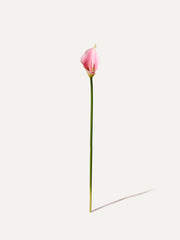 Kalla 65 cm 1 piece - artificial flower 