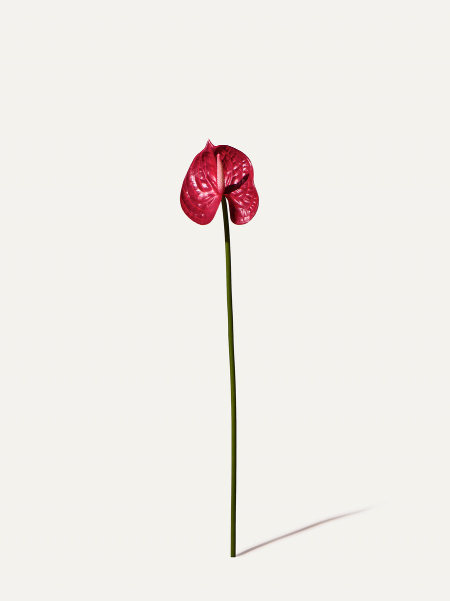 Flamingoblume 66 cm 1 Stk. - Kunstblume
