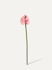 Flamingo flower 66 cm 1 pc. - artificial flower 