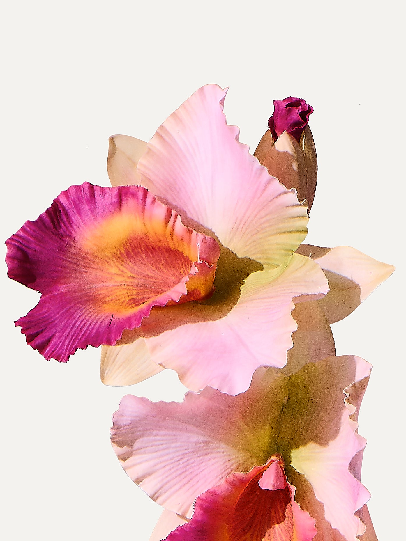 Orchidee 72 cm 1 Stk. - Kunstblume