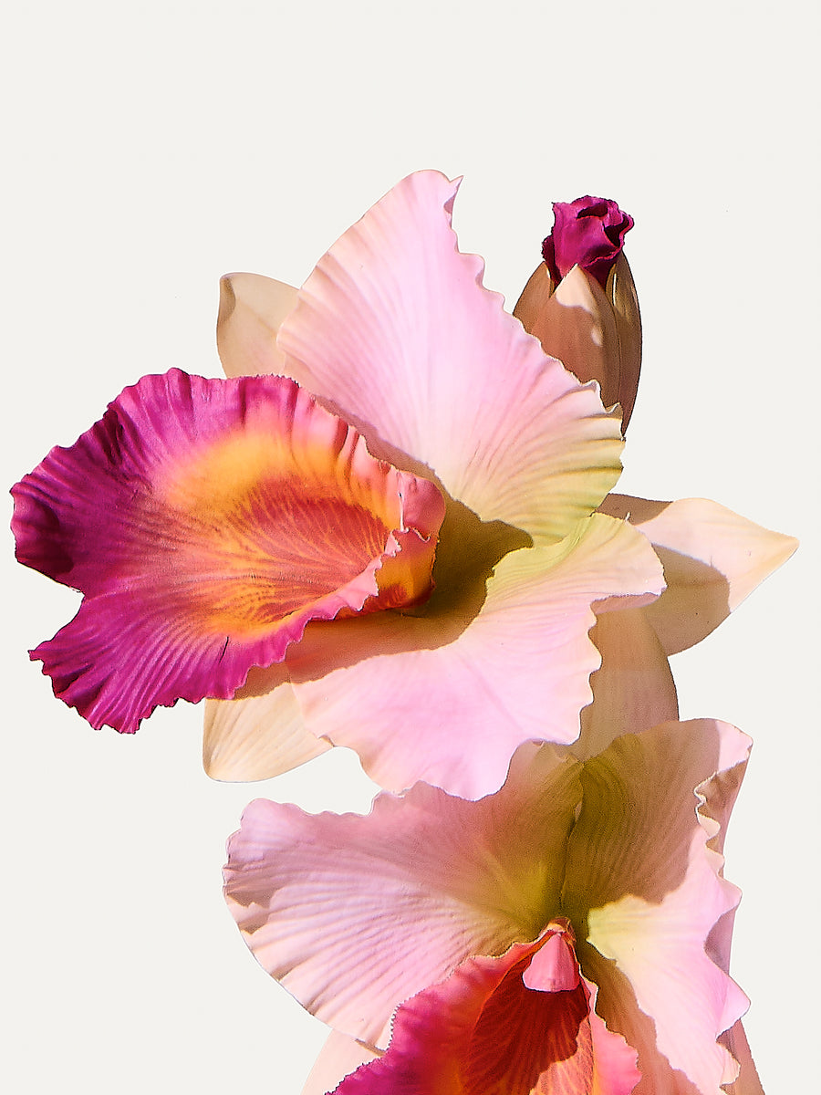 Orchidee 72 cm 1 Stk. - Kunstblume