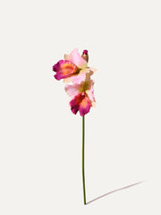 Orchidee 72 cm 1 Stk. - Kunstblume