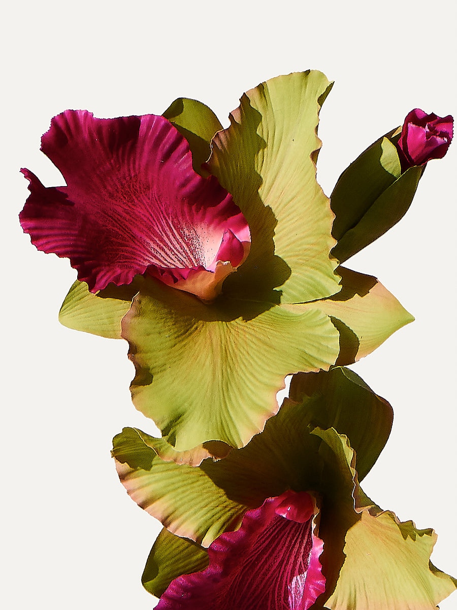 Orchidee 67 cm 1 Stk. - Kunstblume