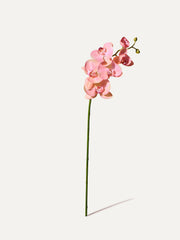 Orchid 80 cm 1 pc. - Artificial flower 