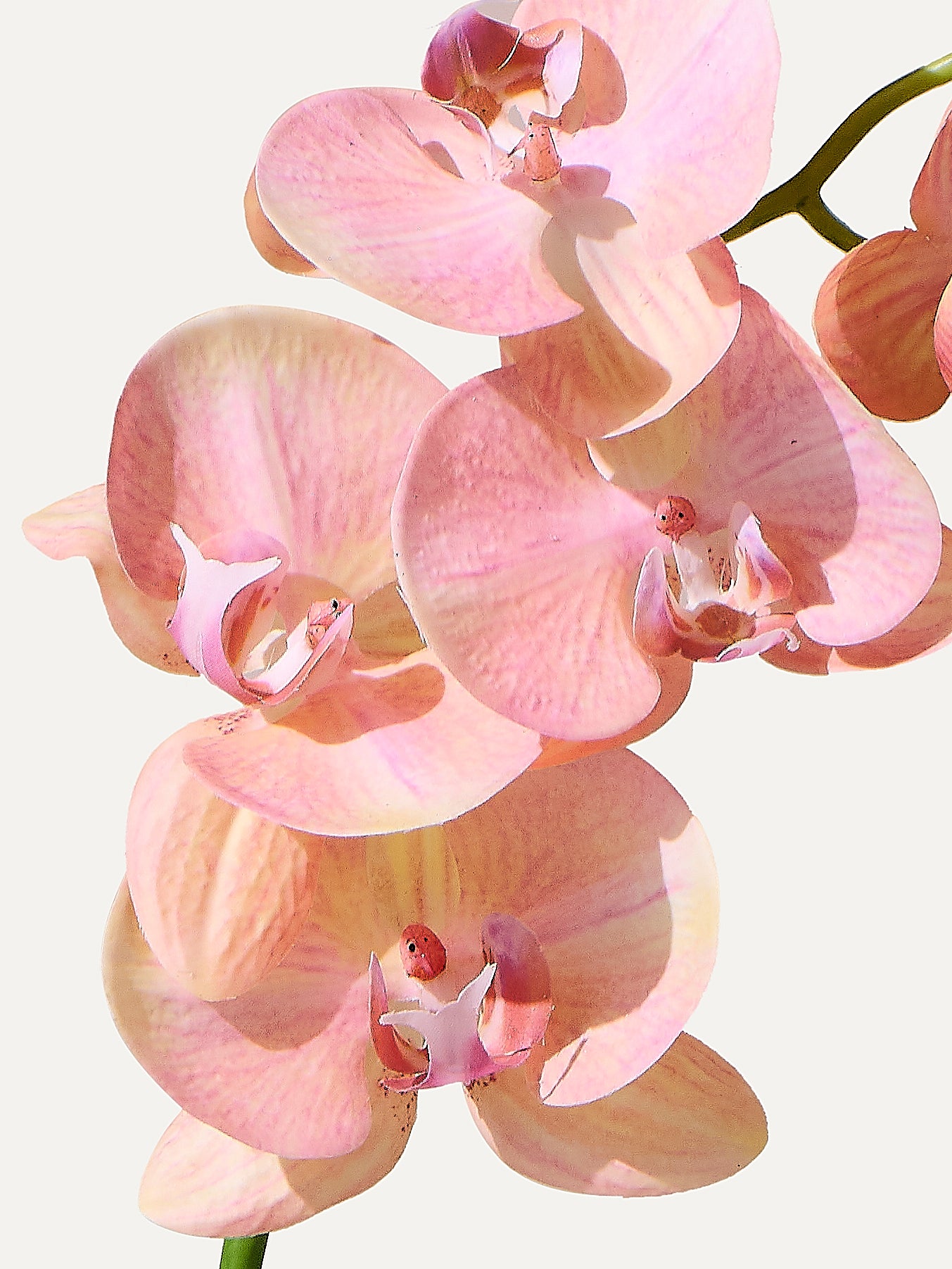 The Solo No.11 - Kunstblume inkl. Vase