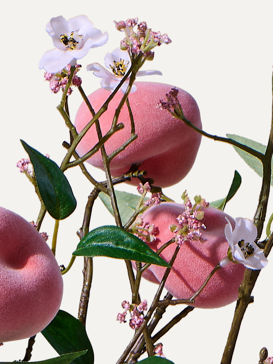 The Peach - Grösse M