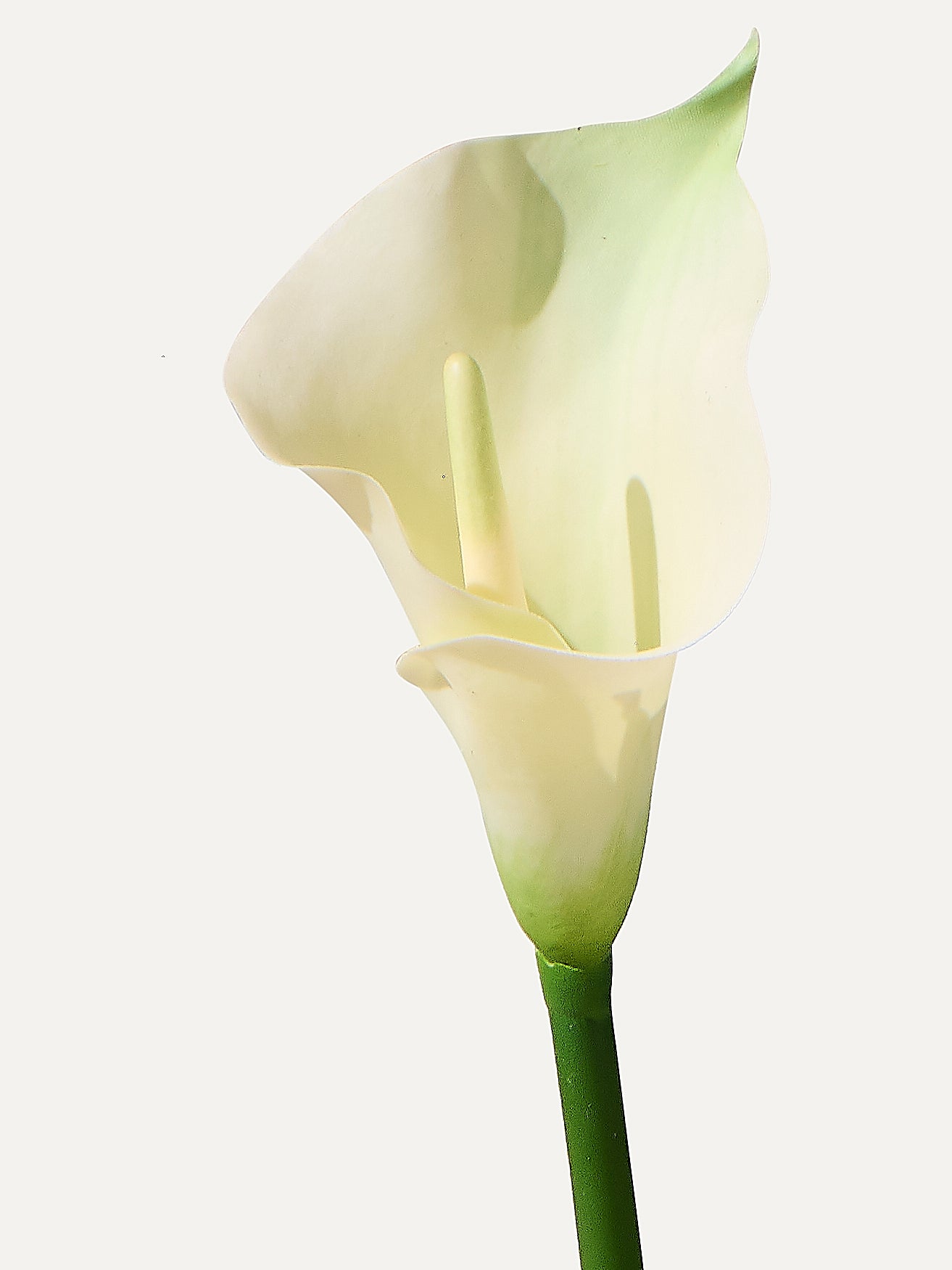 The Solo No.13 - Kunstblume inkl. Vase