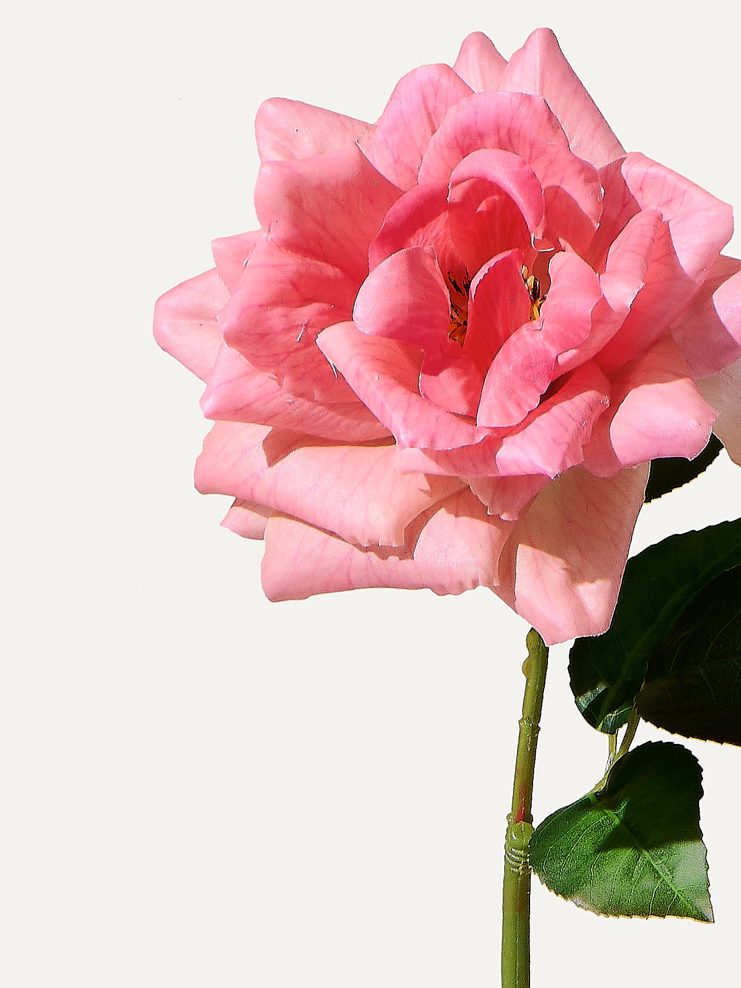 The Solo No.15 - Kunstblume inkl. Vase