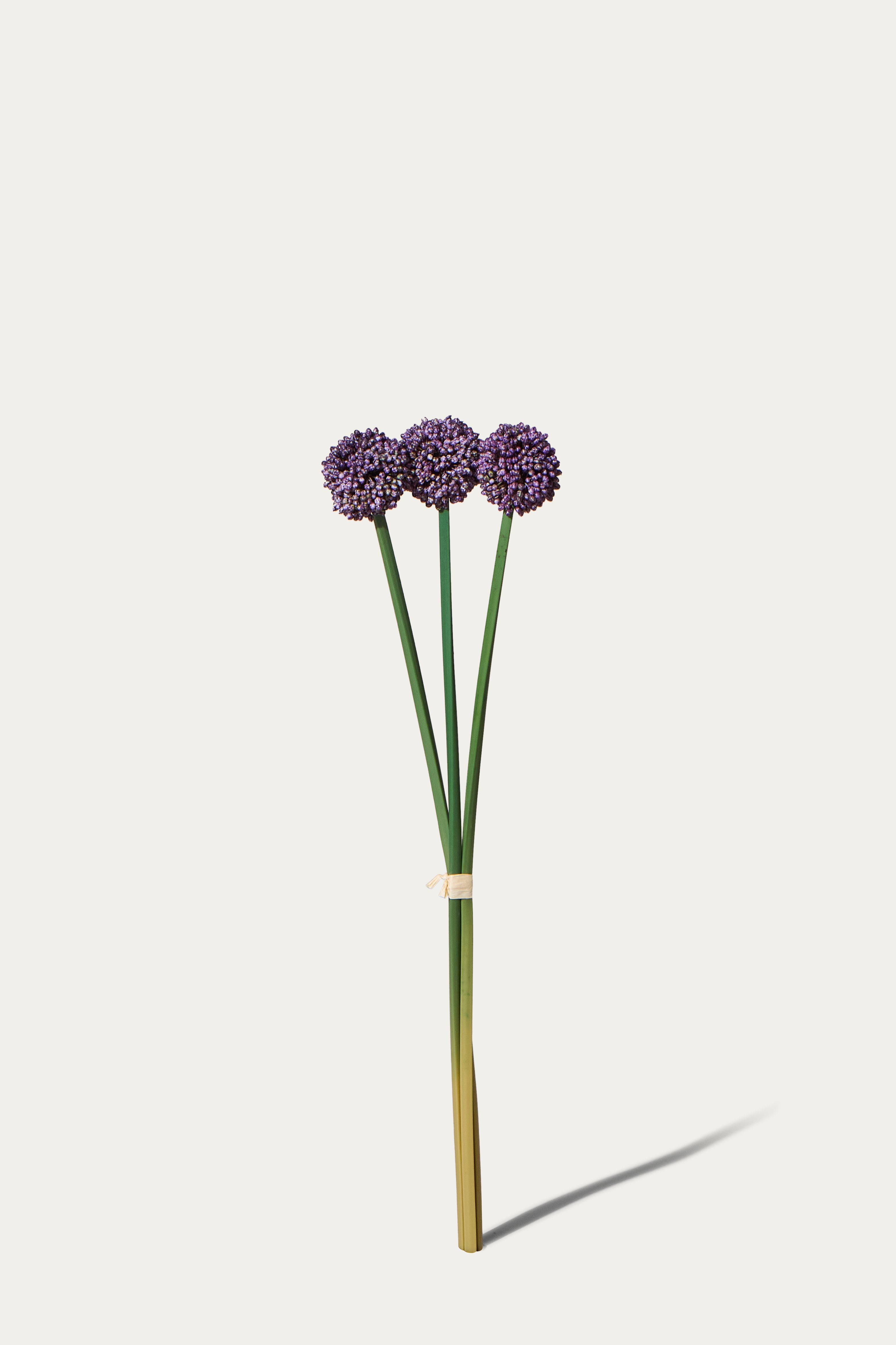 Kunstbündel Allium 55 cm 3 Stk. - Kunstblume
