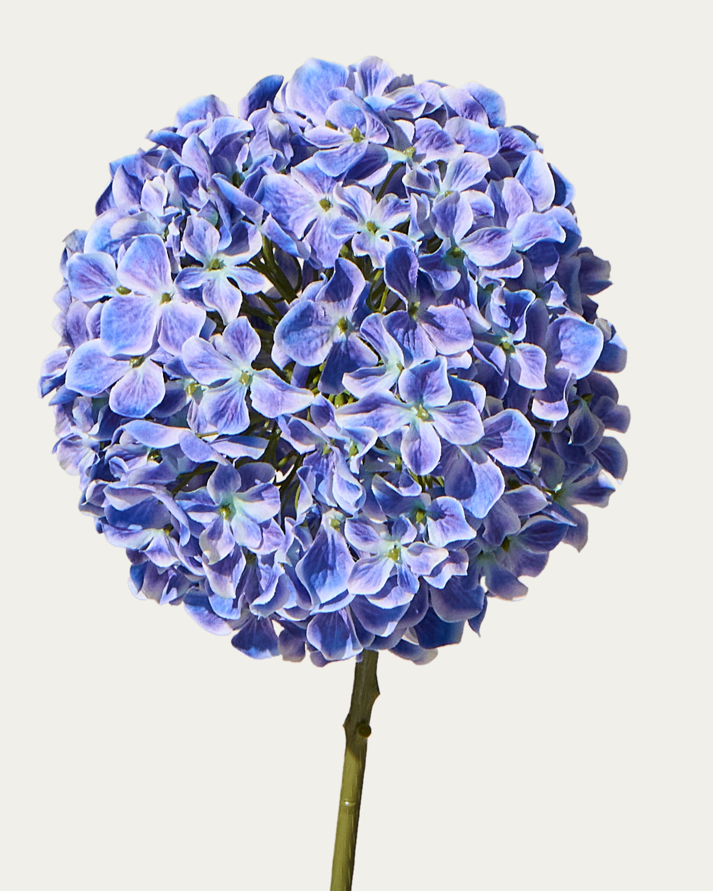 Hortensie 68 cm 1 Stk. - Kunstblume