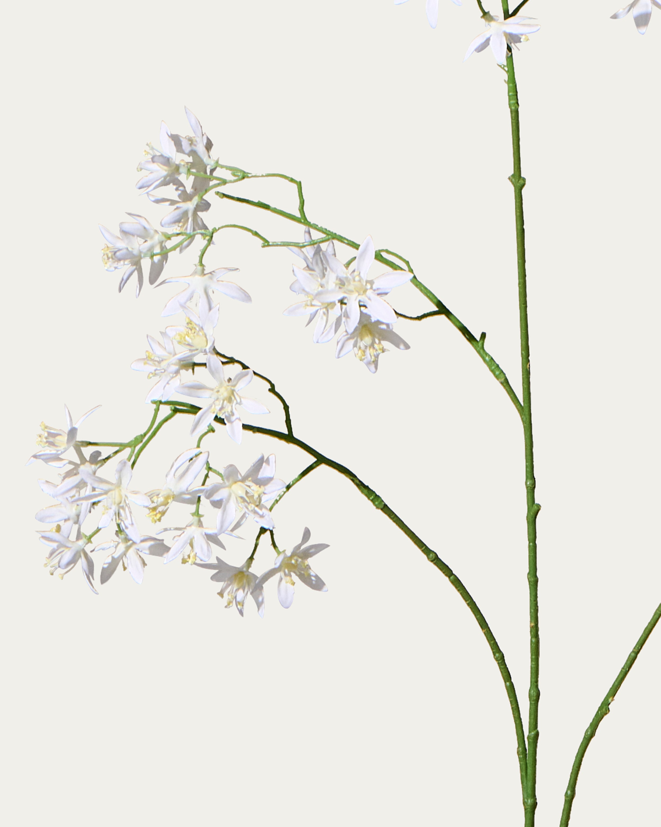 Forsythien 103 cm 1 Stk. - Kunstblume