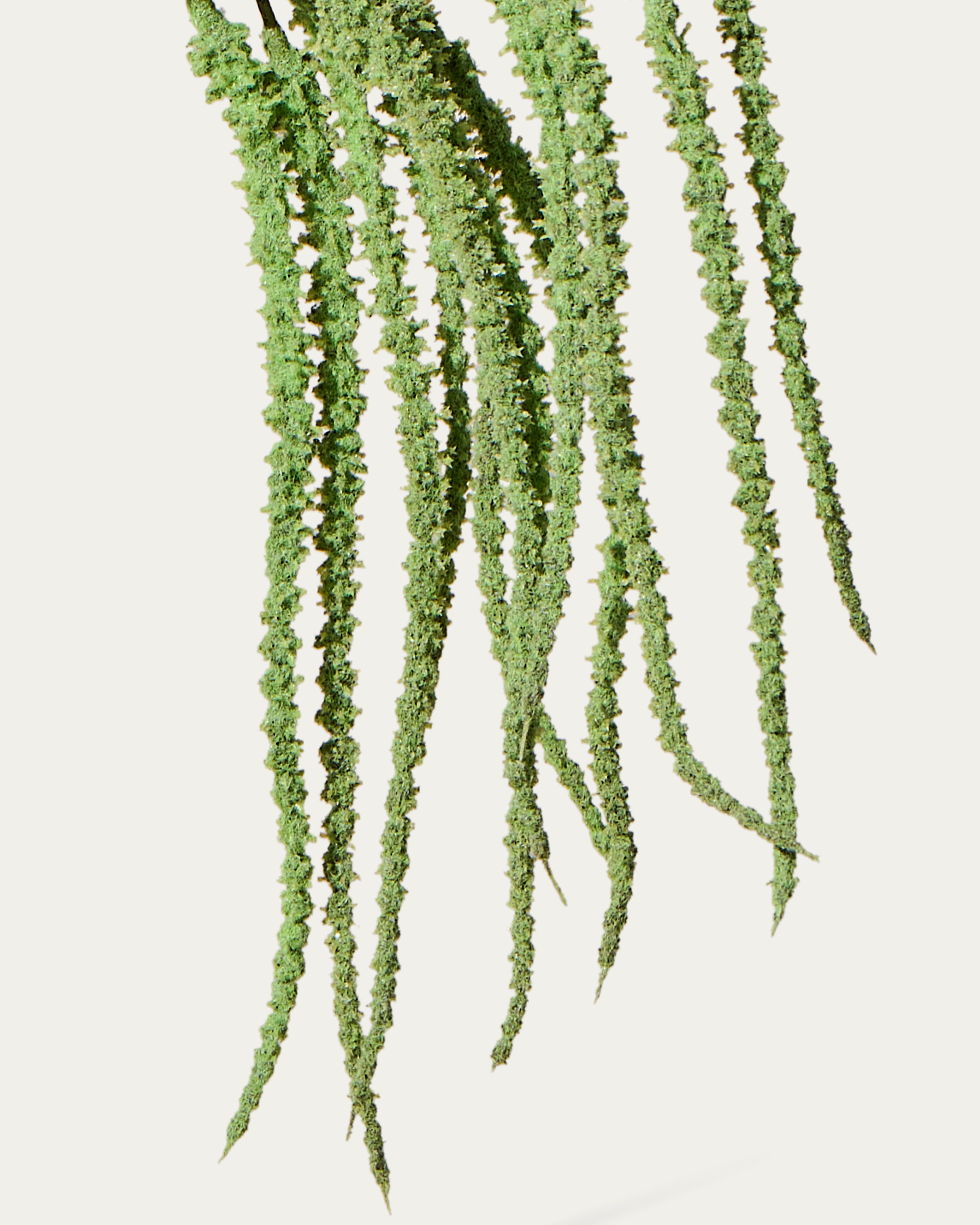 Garten-Fuchsschwanz 96 cm 1 Stk. - Kunstzweig