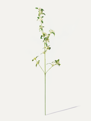 Spirée 104 cm 1 pce - Fleur artificielle