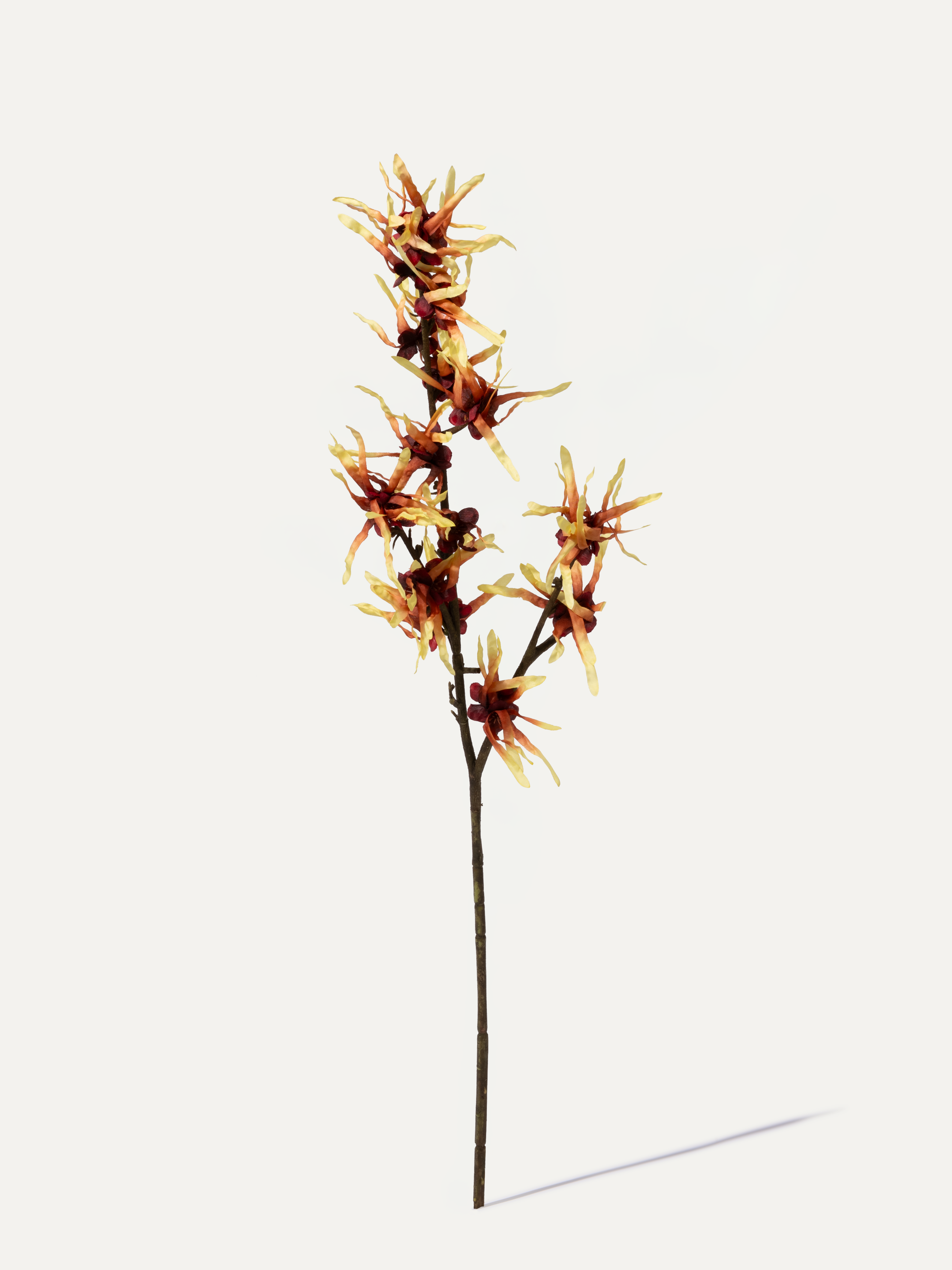 Zaubernuss 76 cm 1 Stk. - Kunstblume