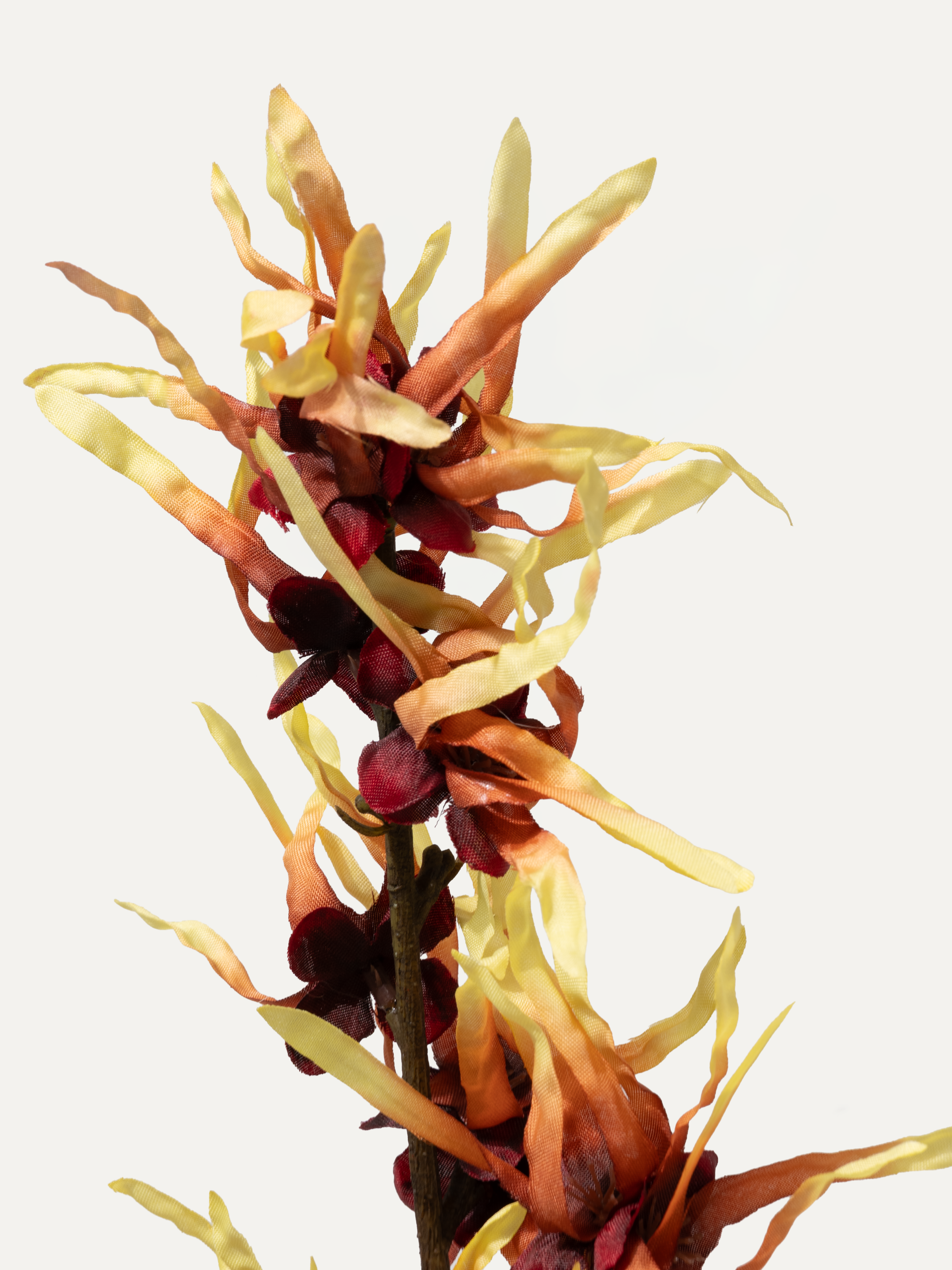 Zaubernuss 76 cm 1 Stk. - Kunstblume