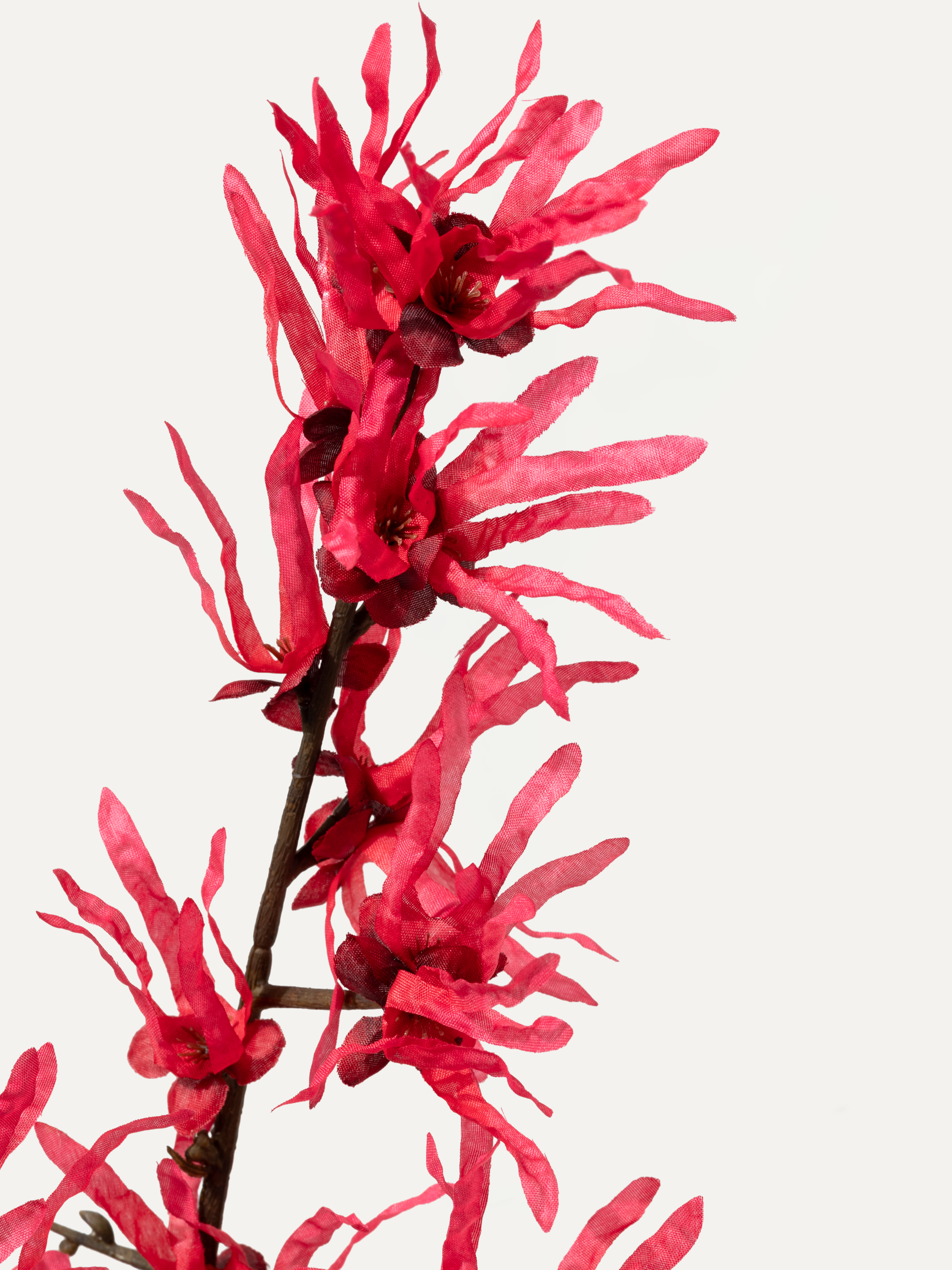 Zaubernuss 76 cm 1 Stk. - Kunstblume