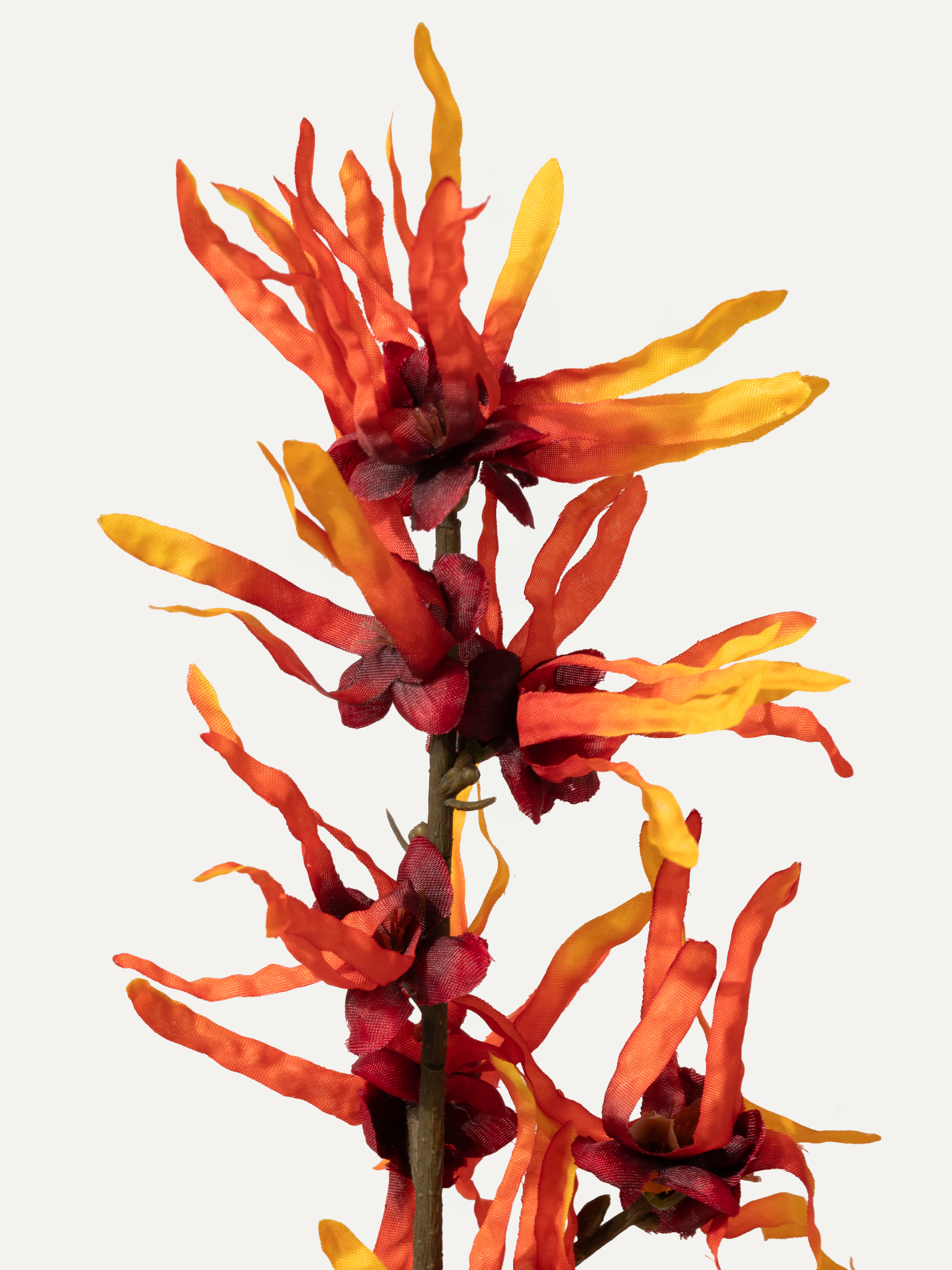 Zaubernuss 76 cm 1 Stk. - Kunstblume