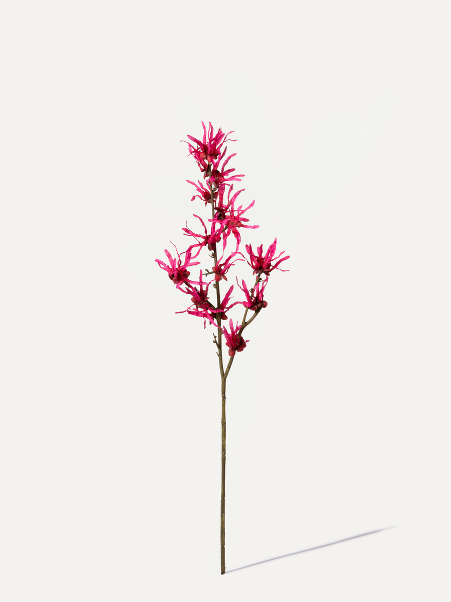 Zaubernuss 76 cm 1 Stk. - Kunstblume