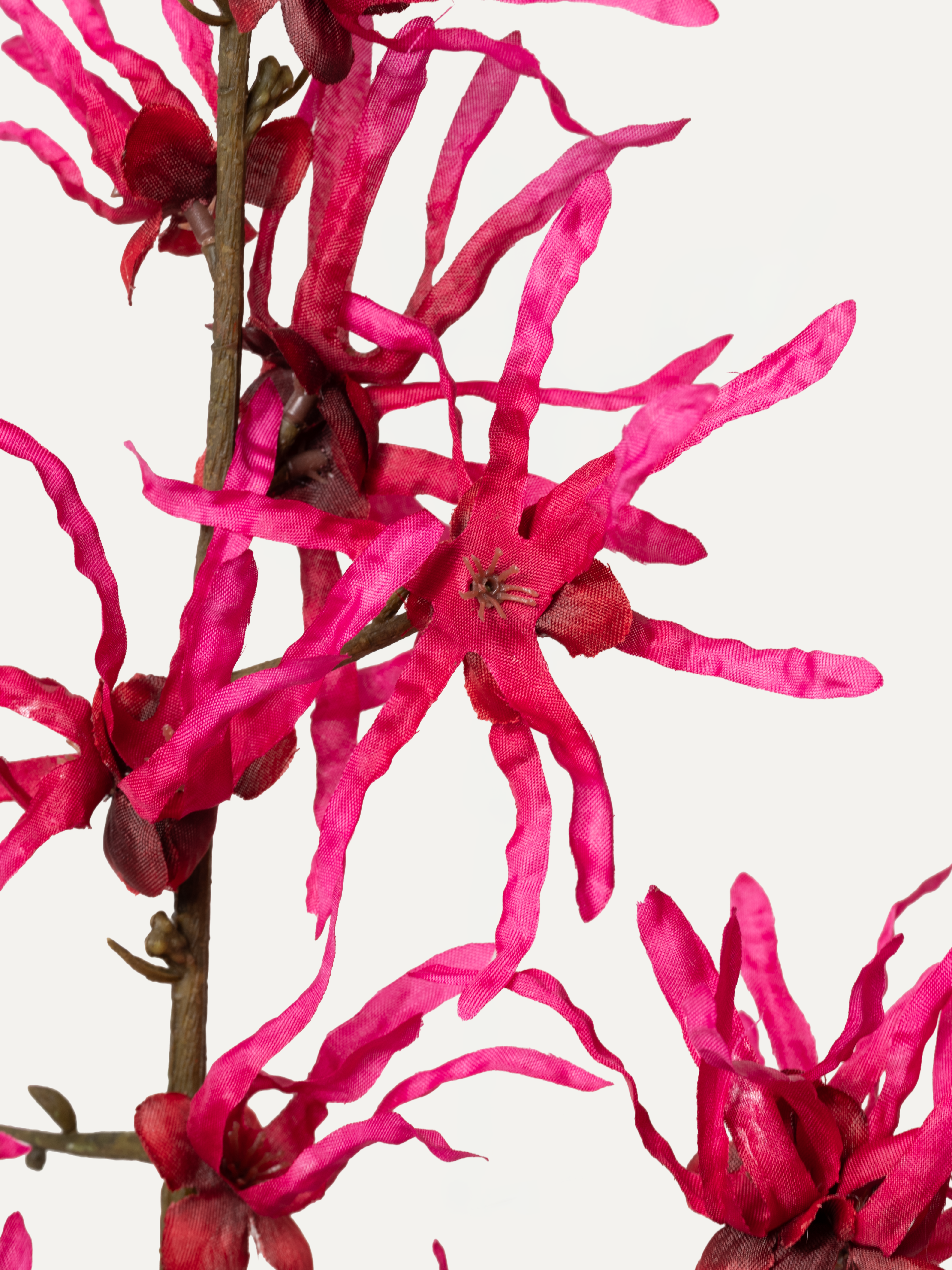 Zaubernuss 76 cm 1 Stk. - Kunstblume