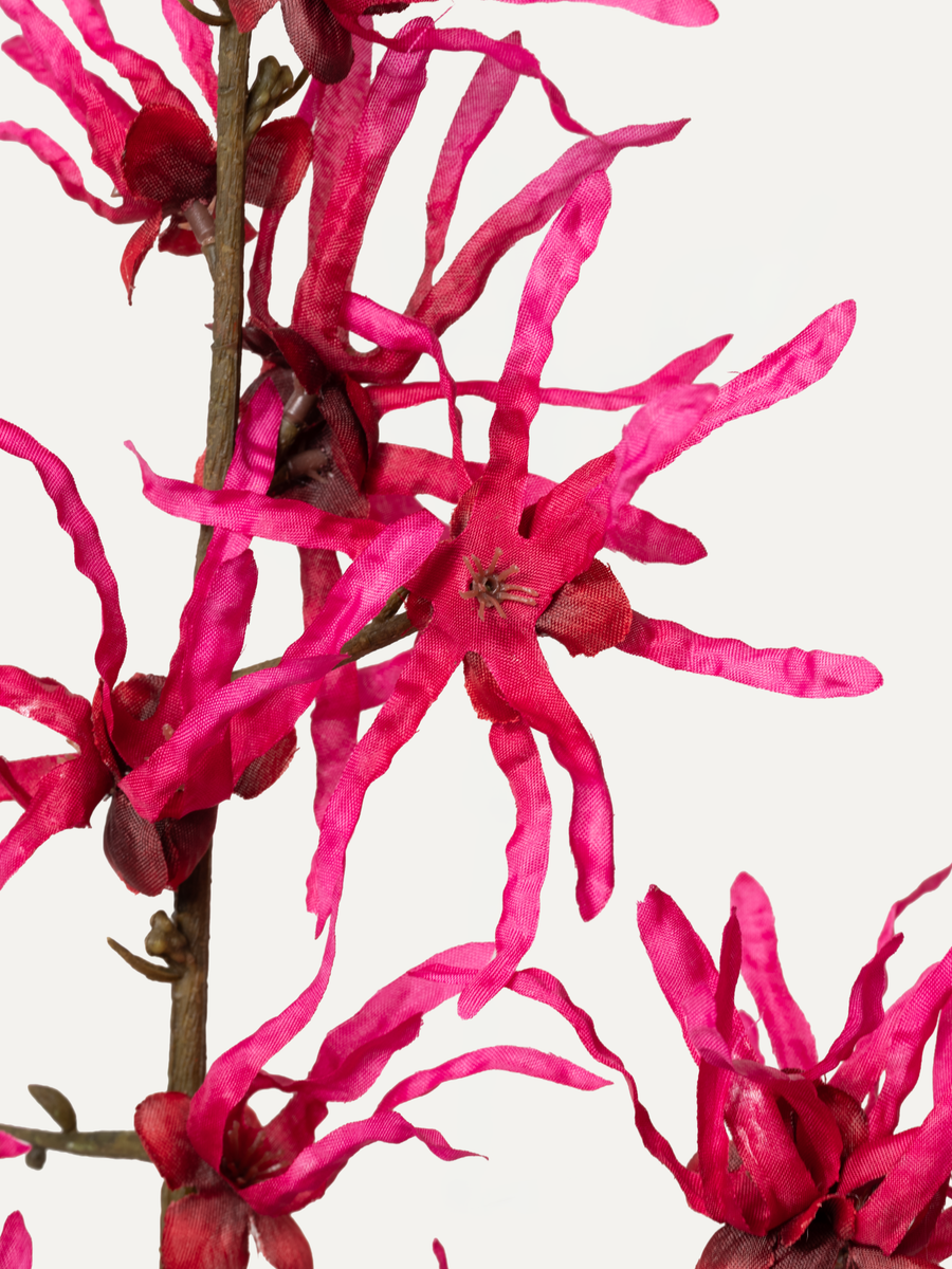 Zaubernuss 76 cm 1 Stk. - Kunstblume
