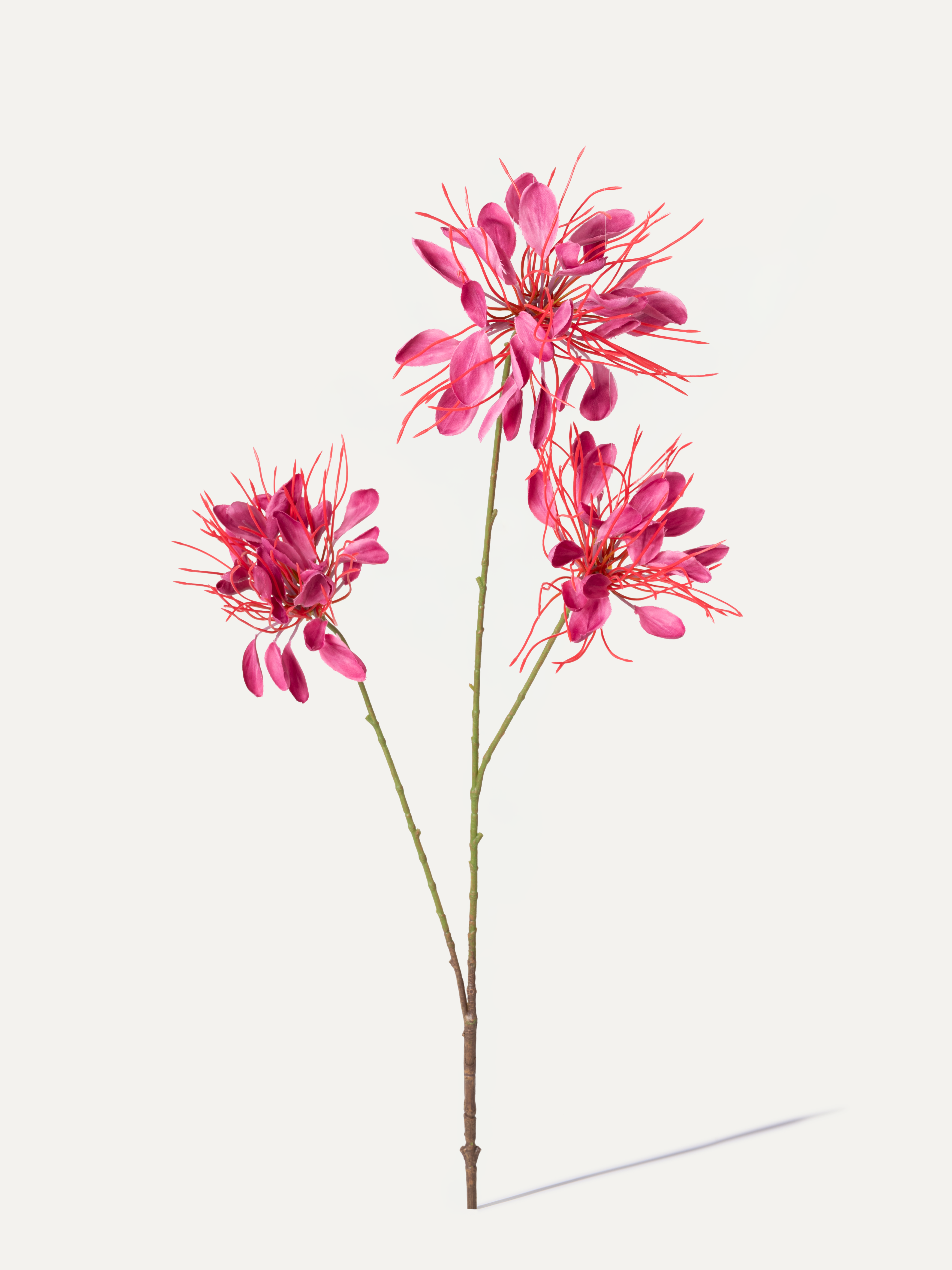 Spinnenblume 94 cm 1 Stk. - Kunstblume