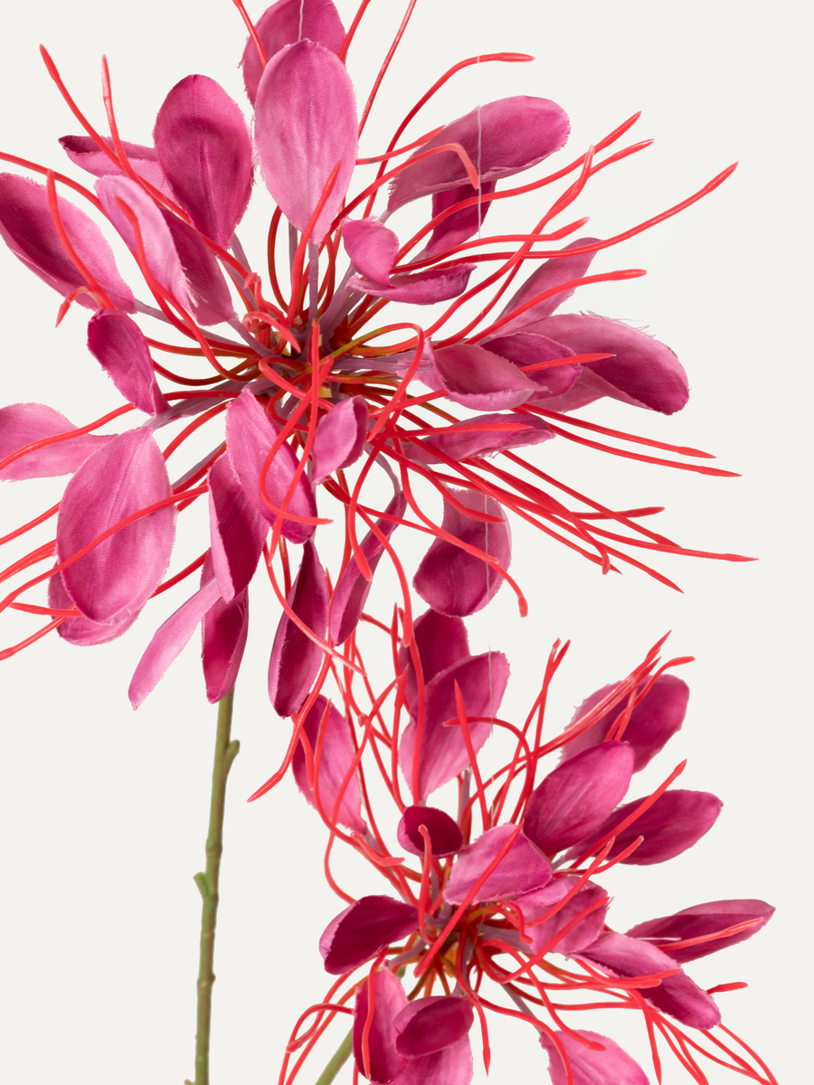 Spinnenblume 94 cm 1 Stk. - Kunstblume