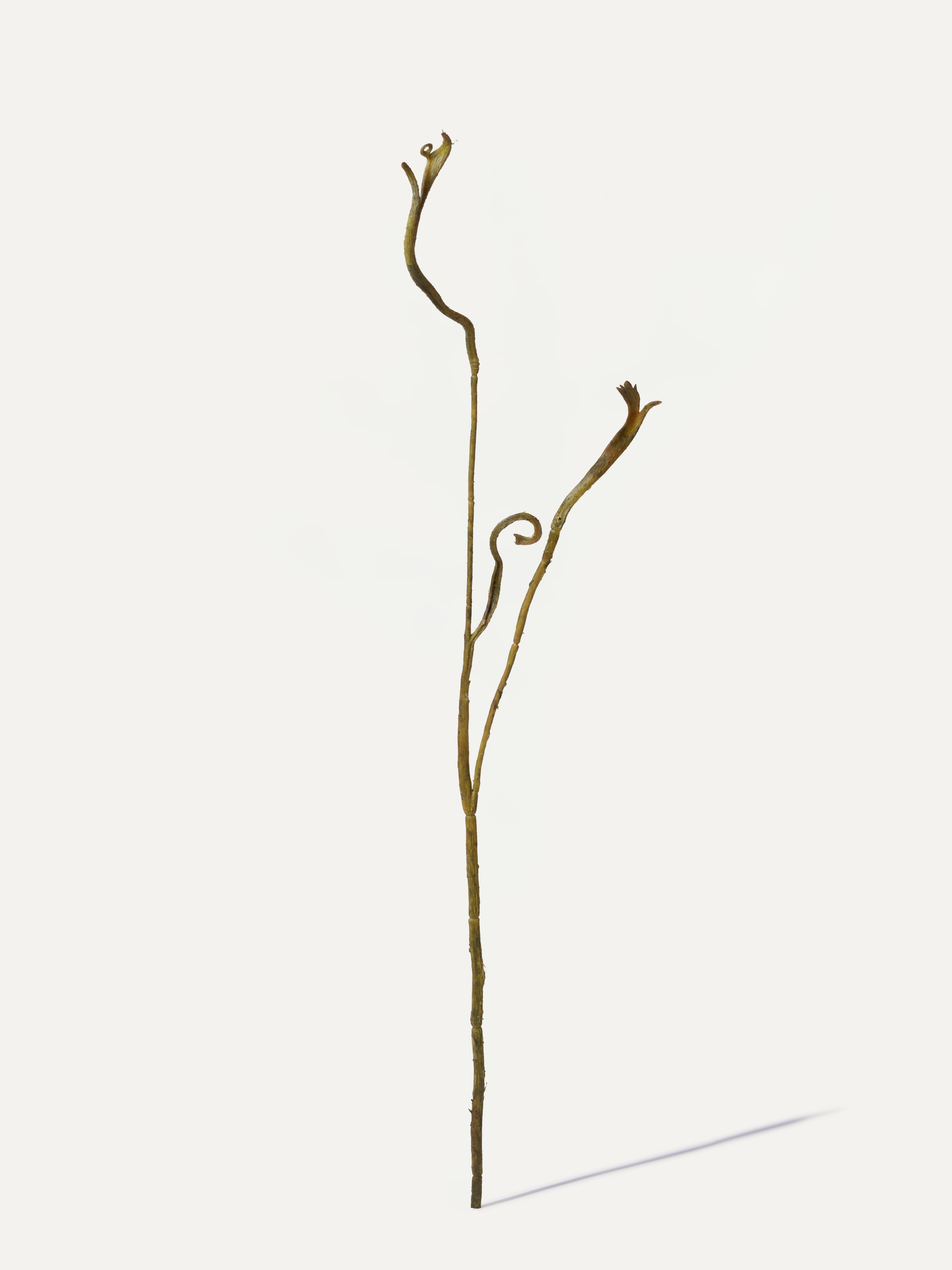 Drachenweide 93 cm 1 Stk. - Kunstzweig