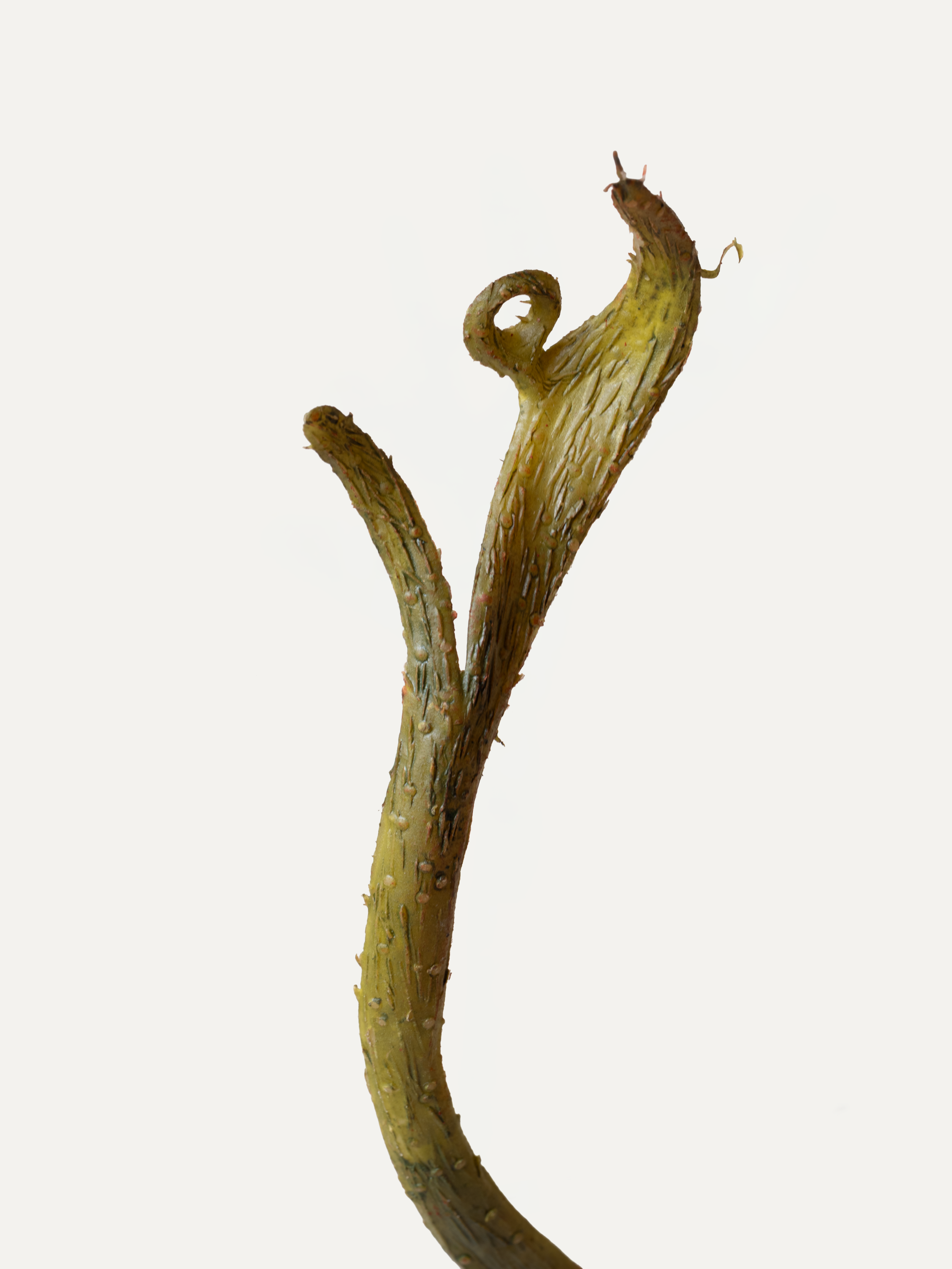 Drachenweide 93 cm 1 Stk. - Kunstzweig