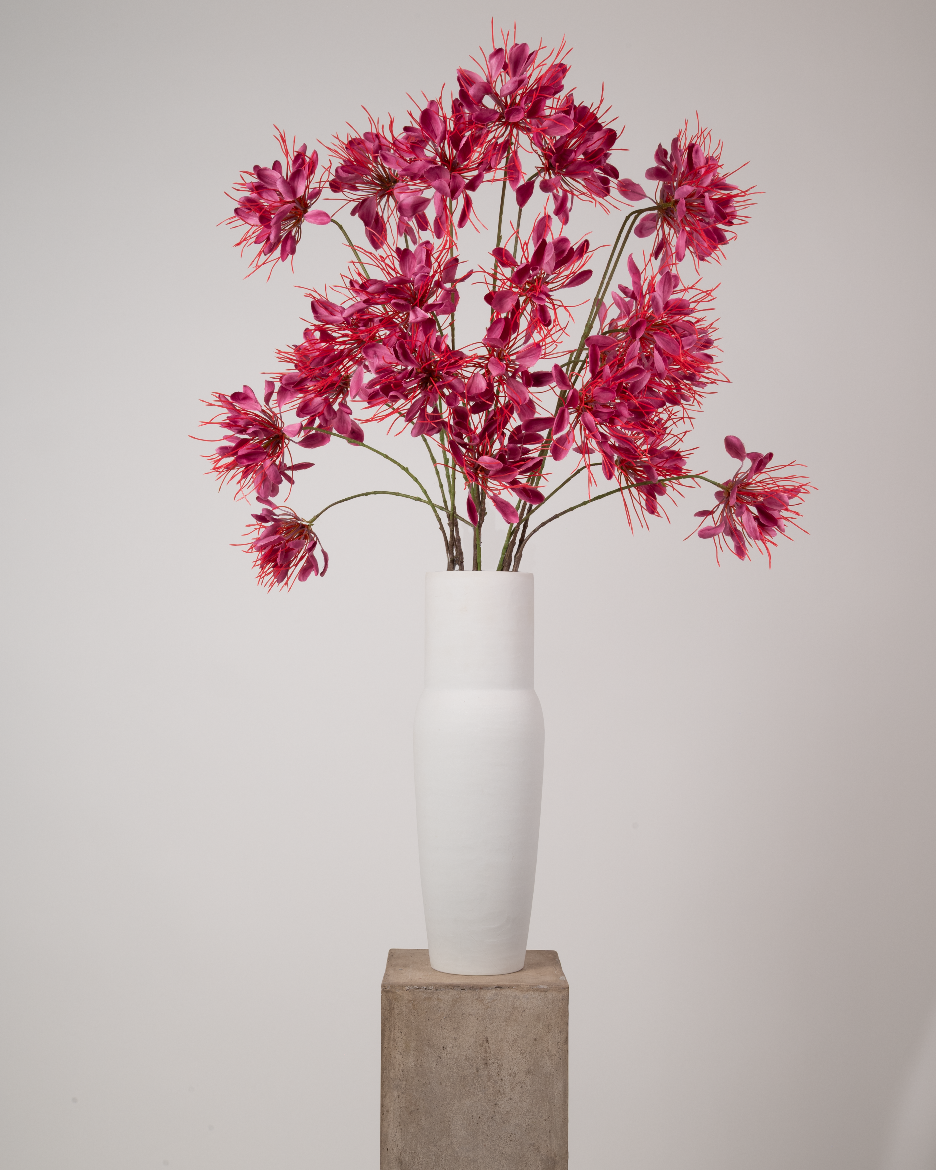 Spider Flower 94 cm 1 pc. - Artificial flower