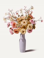 The Cappuccino - Grösse L