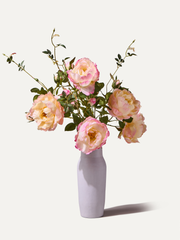 The Rosé - Grösse S