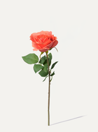 Rose 53 cm 1 Stk. - Kunstblume