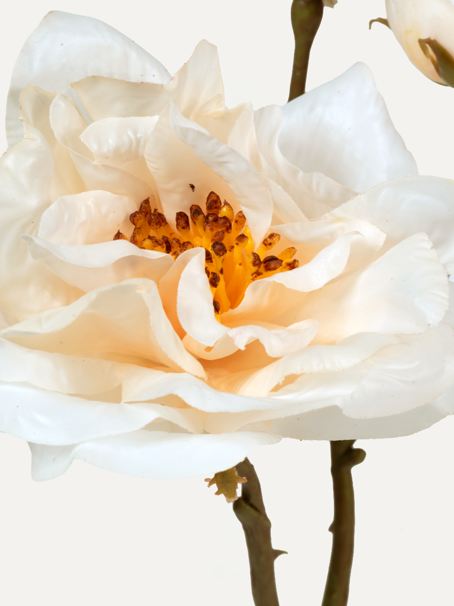 Rose 60 cm 1 pc. - Artificial Flower
