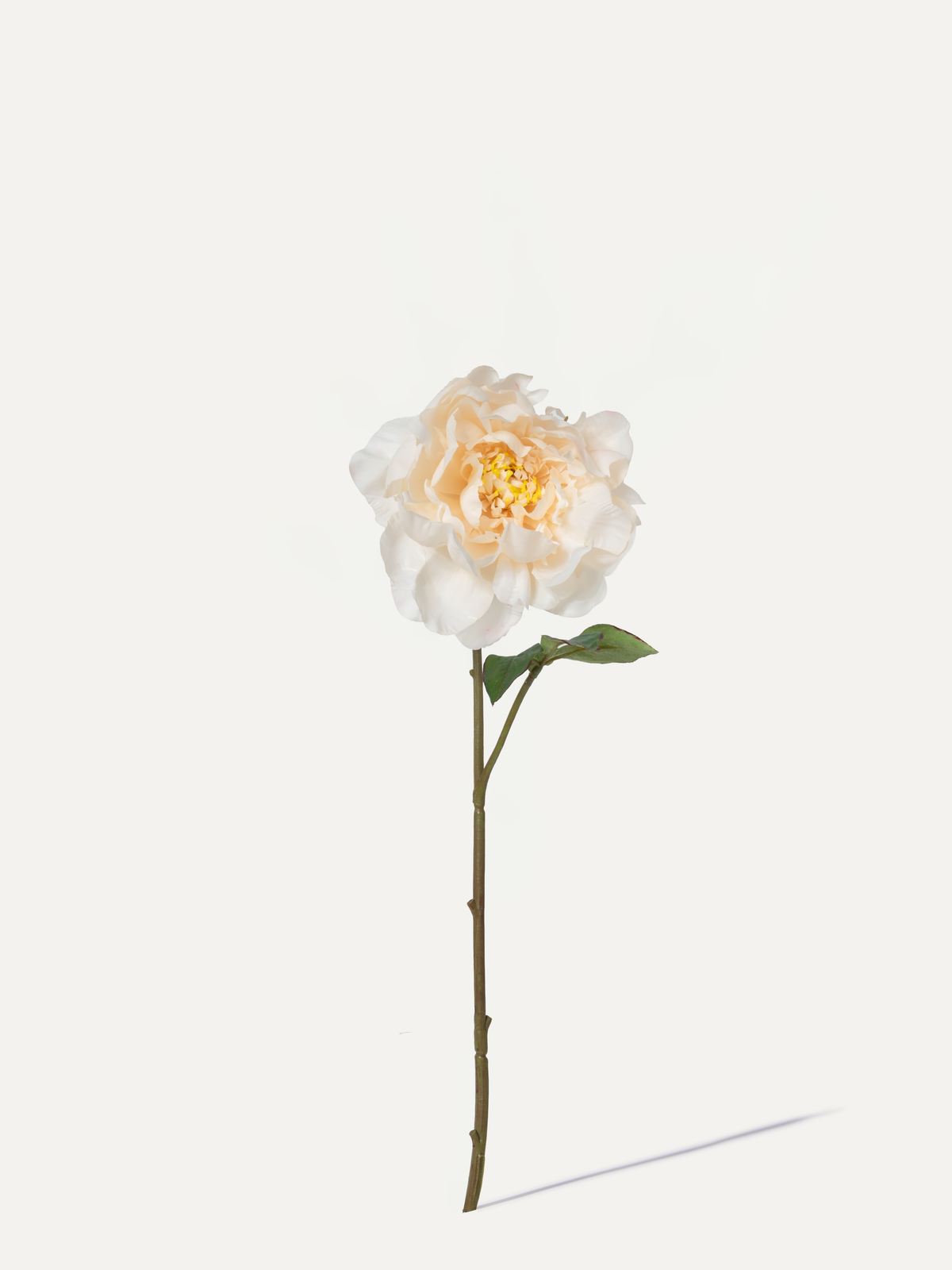 Pfingstrose 56 cm 1 Stk. - Kunstblume