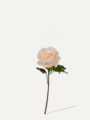 Peony 57cm 1 pc. - Artificial Flower