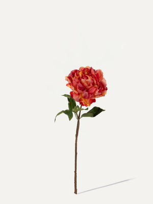 Peony 57cm 1 pc. - Artificial Flower