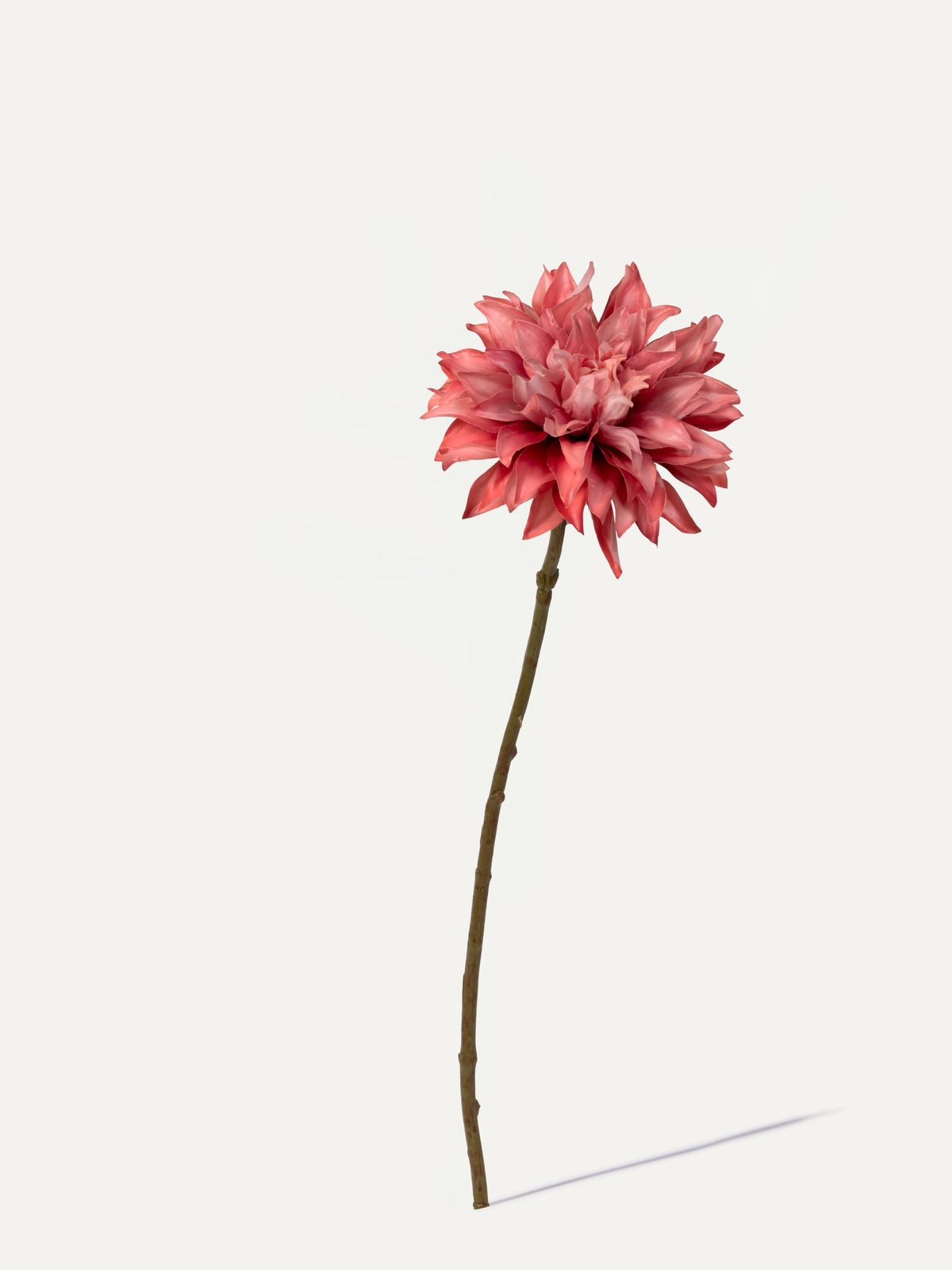 Dahlia 62 cm 1 pc. - Artificial Flower