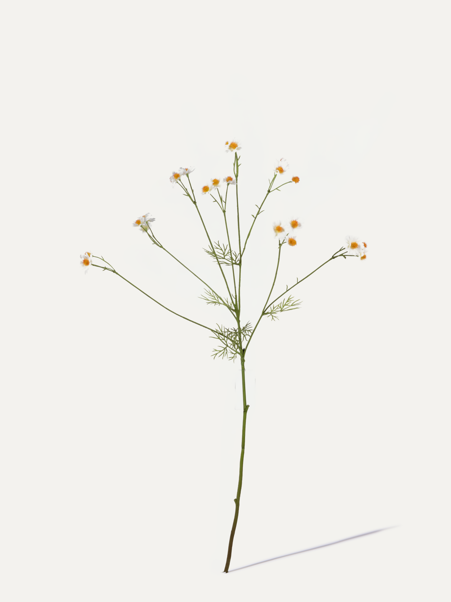 Chamomile 76 cm 1 pc. - Artificial Flower