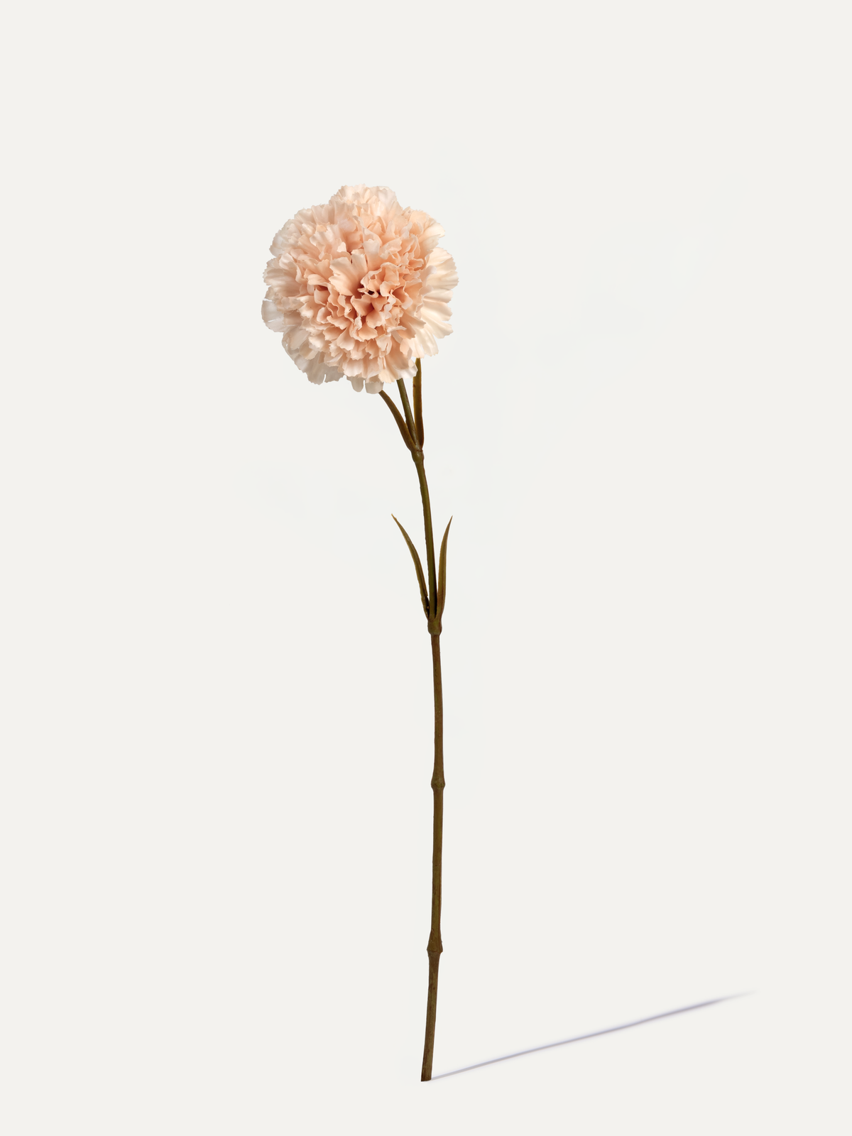 Carnation 55 cm 1 pc. - Artificial Flower