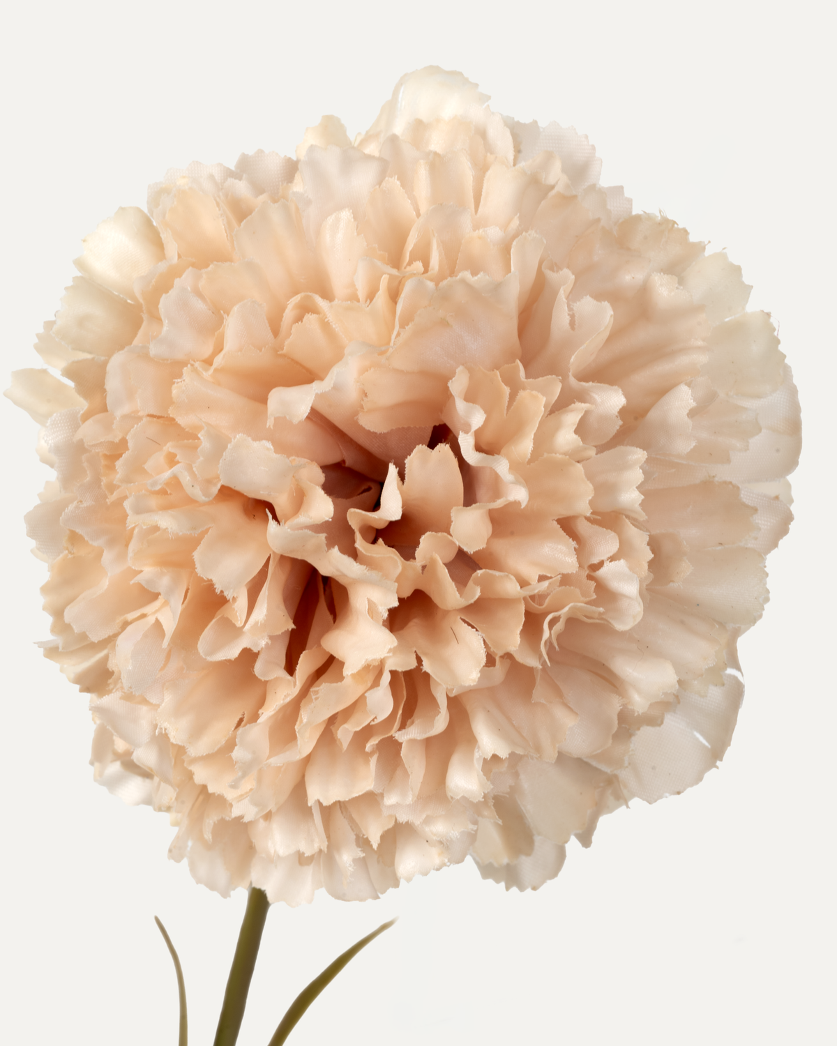 Carnation 55 cm 1 pc. - Artificial Flower