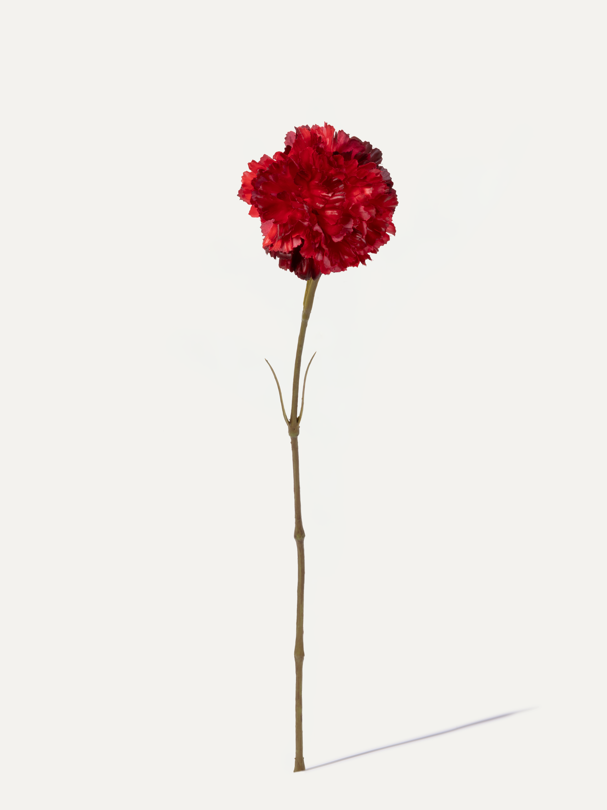 Carnation 55 cm 1 pc. - Artificial Flower