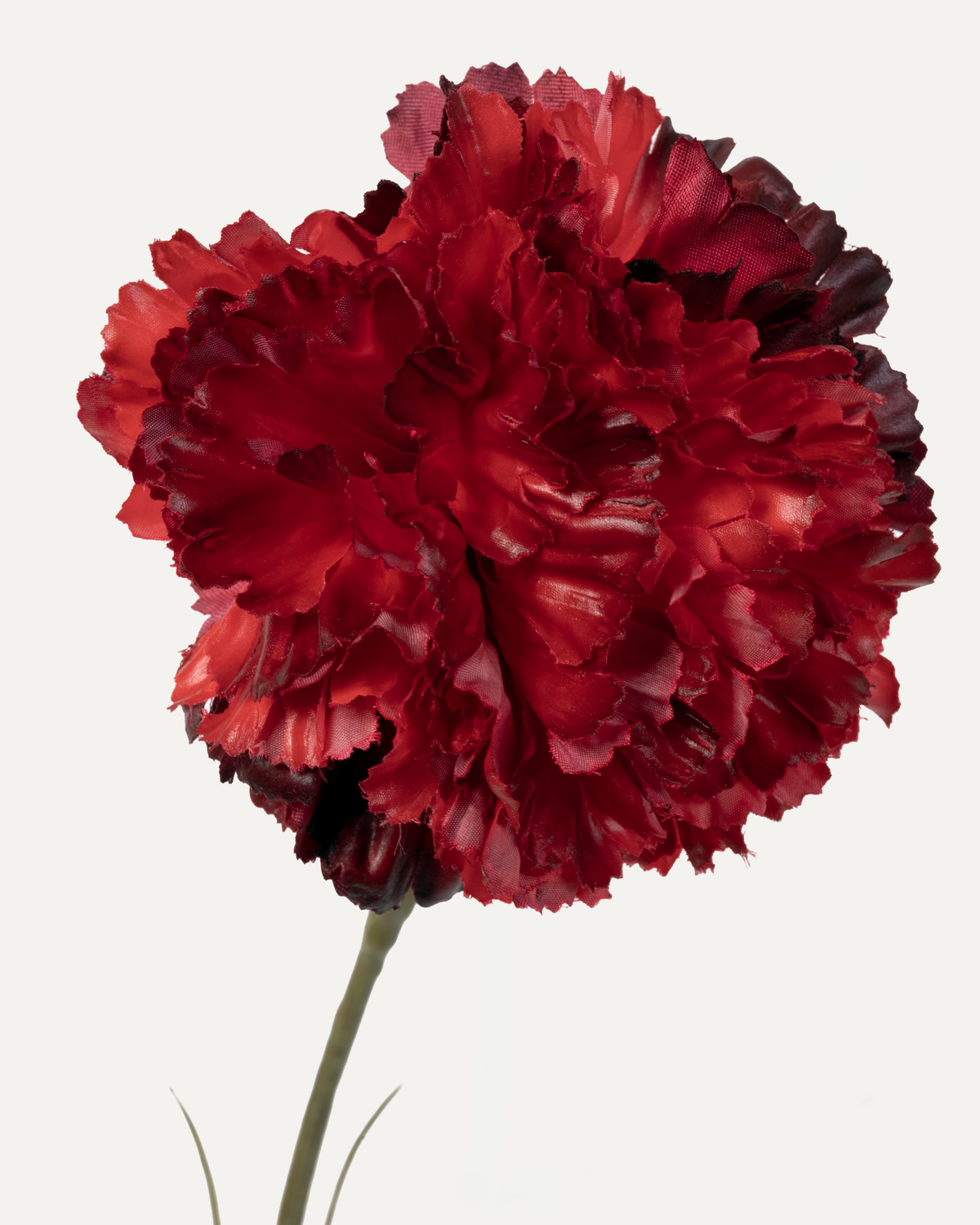 Carnation 55 cm 1 pc. - Artificial Flower