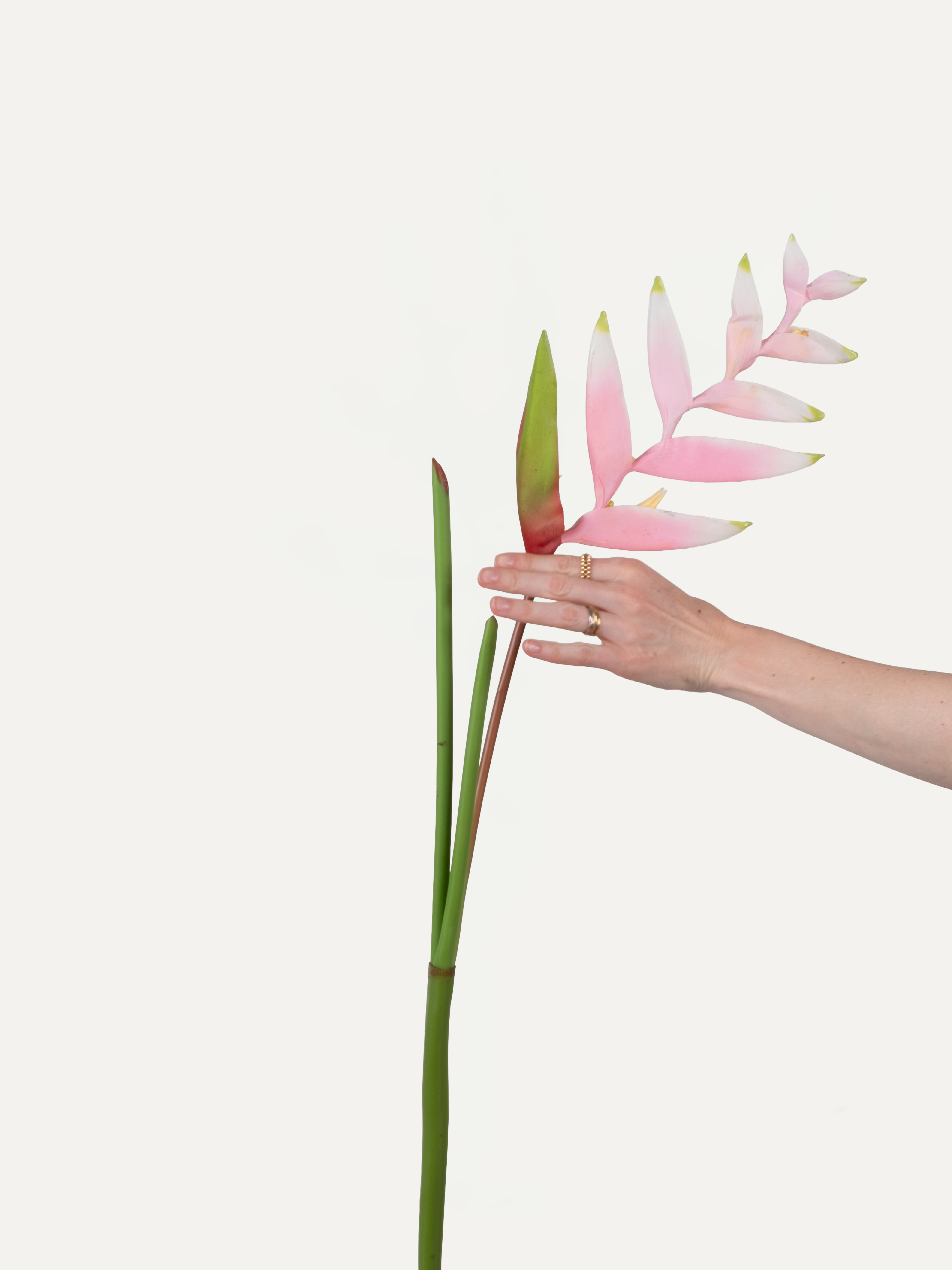 Hummerschere 130 cm 1 Stk. - Kunstblume