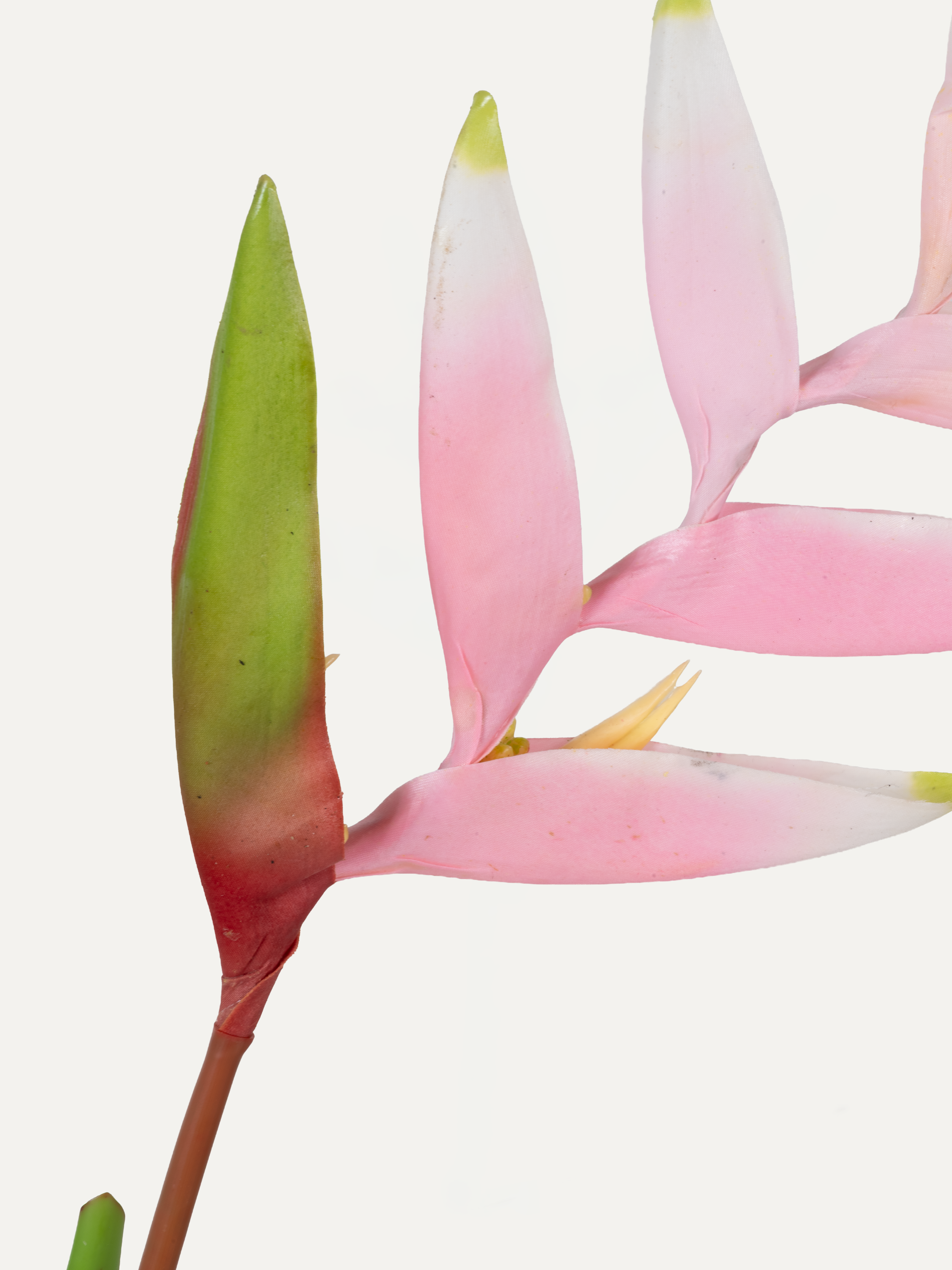 Hummerschere 130 cm 1 Stk. - Kunstblume