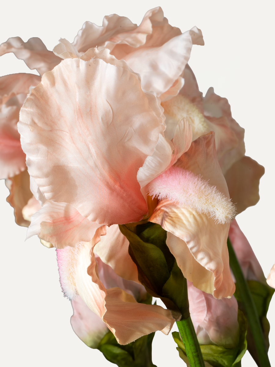 Iris 80 cm 1 pc. - Artificial Flower
