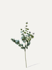 Eukalyptus-Zweig 75 cm 1 Stk. - Kunstzweig