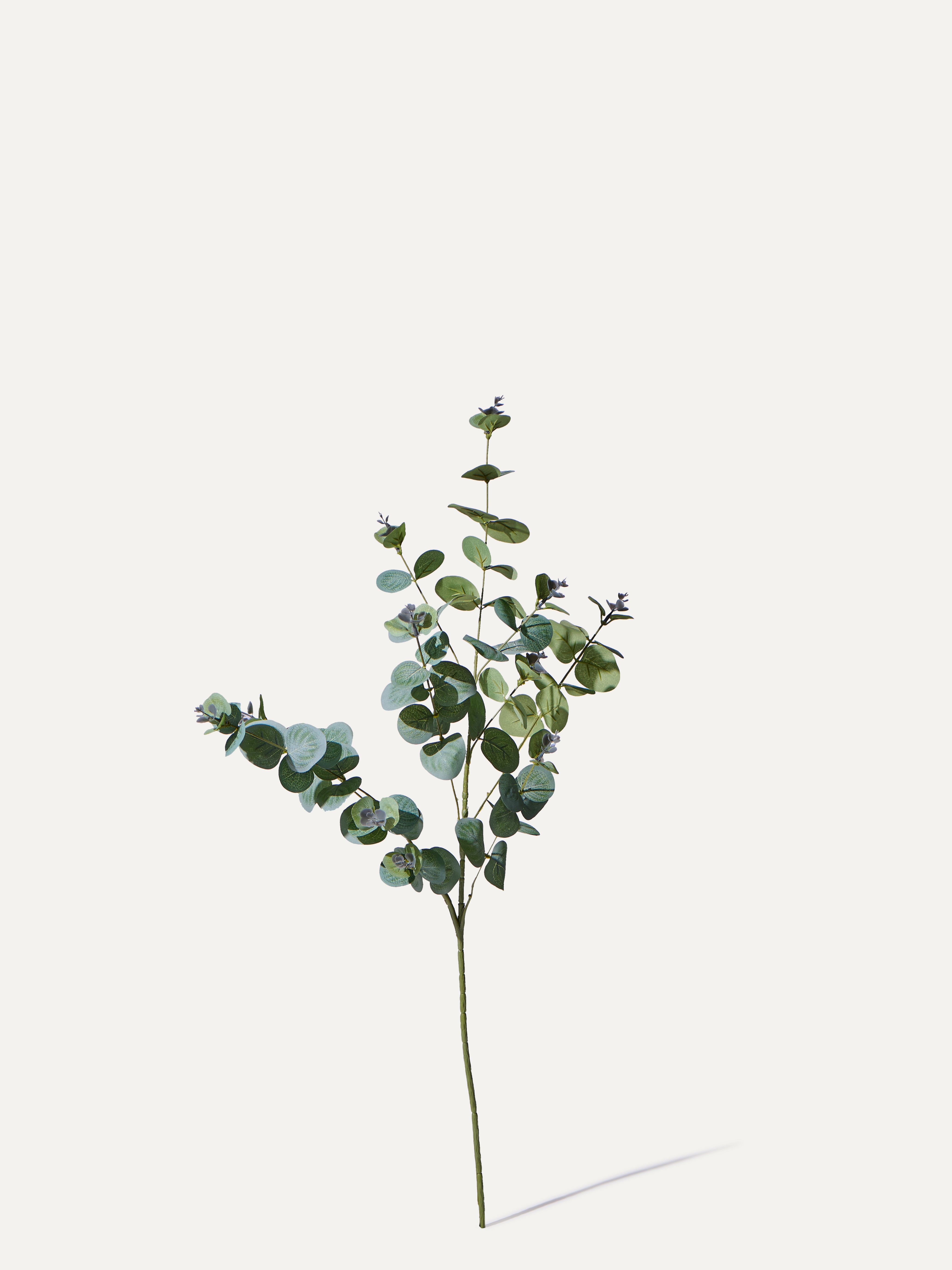 Eukalyptus-Zweig 75 cm 1 Stk. - Kunstzweig