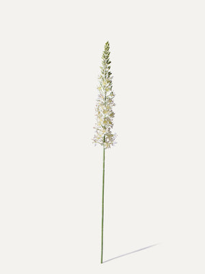 Bougie queue de renard 105 cm 1 pièce - fleur artificielle 