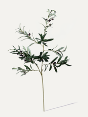 Olivenzweig 100 cm 1 Stk. - Kunstzweig